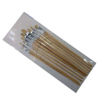 12pce Flat Tip Brush Set