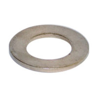 Stainless Steel Form A Washers