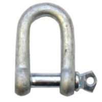 Dee Shackle