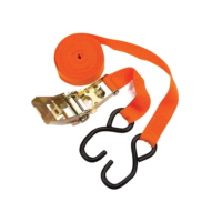 Ratchet Strap & 2 x Steel Hooks - 25mm x 4.5m