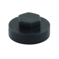 16mm Hex Head Coloured Cover Caps (Pack 100)